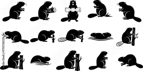 Beaver silhouettes, Beaver, Beaver icon, Beaver logo, Beaver 