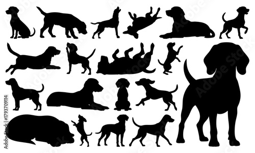 Beagle Dog Silhouette Vector Set, Poses Collection, Black Animal Clipart on Transparent Background