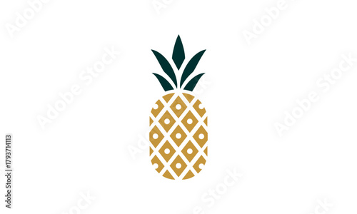 a pineapple-themed graphic image, with a white background. Vector graphic base.