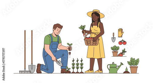 Couple Gardening Together, Planting Seedlings and Harvesting Vegetables.