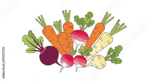 Vibrant Root Vegetables - Carrots, Beets, Radishes, and Parsnips.