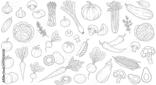 Illustration of collection of assorted fresh vegetables