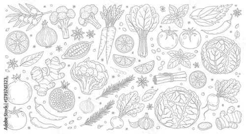 Illustration of assorted fresh vegetables sketch