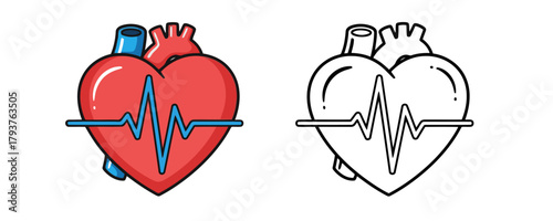 Vector illustration of an anatomical human heart with a blue ECG rhythm line across it, presented in color and black outline