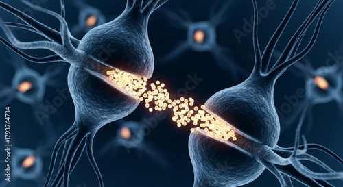 Neural network diagram synapse transmission neuron connection signal electric biology brain communication science research anatomy cell membrane axon dendrite neurotransmitter vesicle junction