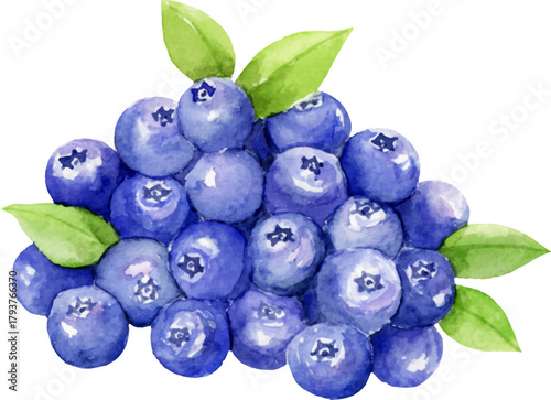 たくさんのブルーベリーの水彩イラスト