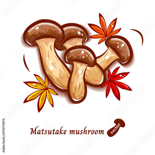 秋の味覚｜松茸と紅葉のポップでかわいいイラスト｜きのこのベクター素材