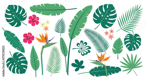 Colorful tropical leaves and flowers set with bird of paradise and hibiscus