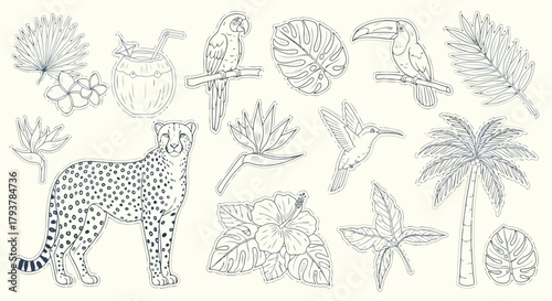 Assorted tropical wildlife and plants illustration set