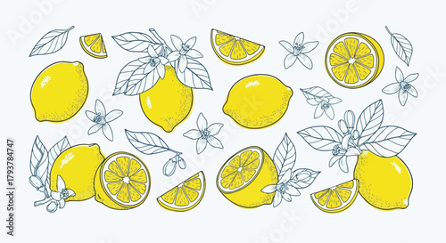 Fresh lemons and lemon slices with green leaves