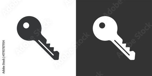 Access Key icon. Solid glyph series icon