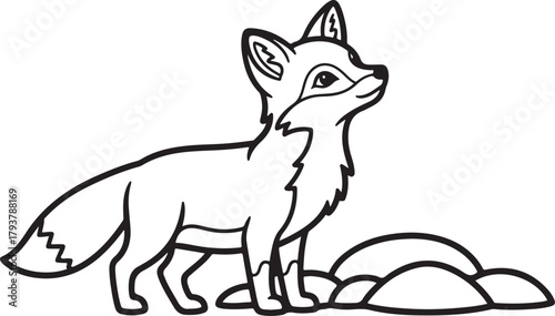 Cute funny cartoon fox vector illustration character drawing isolated on white