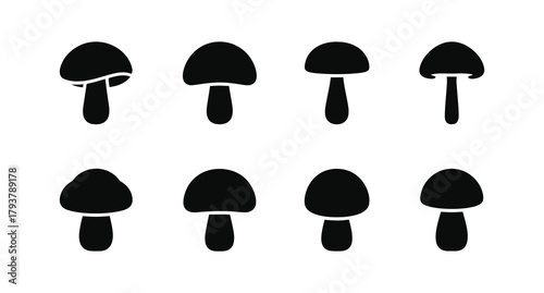 A black and white image of a mushroom group