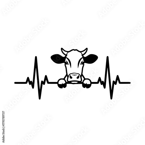 A cow peeking over a heartbeat line. vector illustration