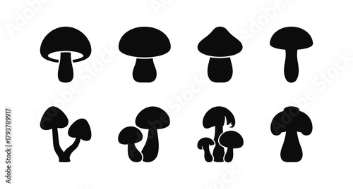A black and white image of a mushroom group