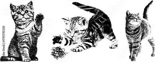 Retro xerography halftone engraving set — three playful kittens with grainy vintage texture. Black and white distressed animal