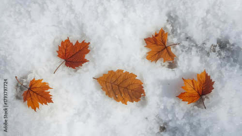 Frozen Leaves with Ice Coating Macro Detail