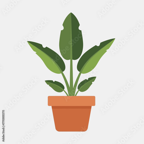 Illustration of a potted plant with large green leaves, set against a plain background.