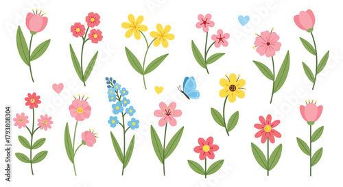 Colorful flat illustration of flowers, butterflies, and greenery with handdrawn style