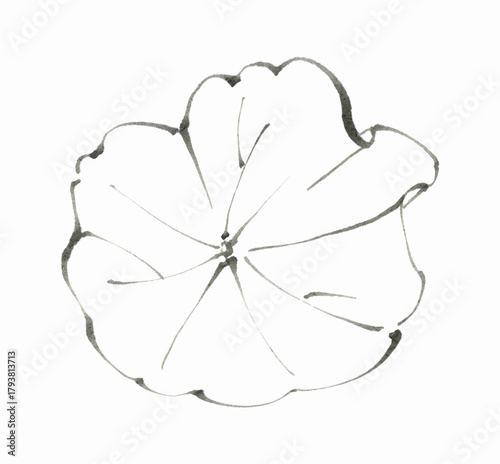 Elegant hand drawn lotus leaf sketch outline