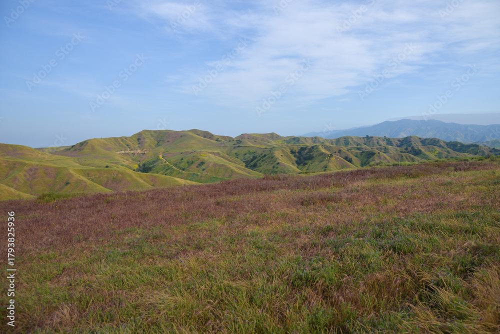 Fototapeta premium Spring in Chino Hills State Park