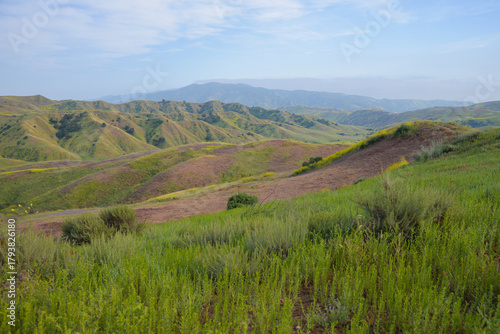 Spring in Chino Hills State Park
