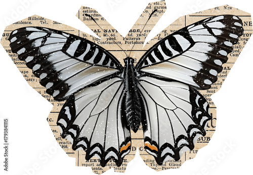 white butterfly on newspaper collage