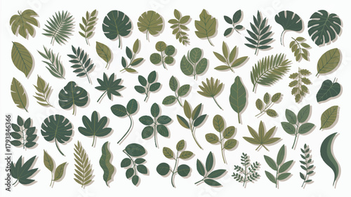 Botanical illustration featuring a diverse collection of green leaves, showcasing various shapes and textures in a natural arrangement