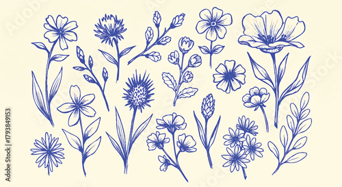 Elegant blue floral sketch illustration on a creamy background beautiful composition