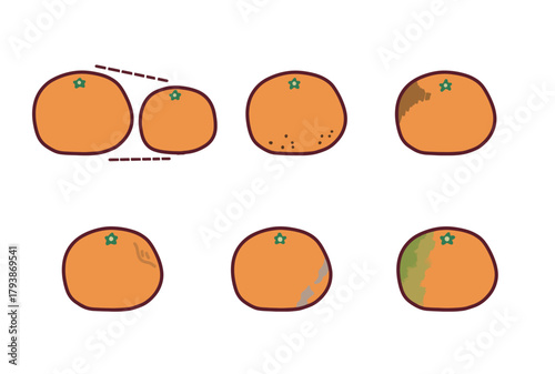 規格外のみかんのシンプルなイラストセット