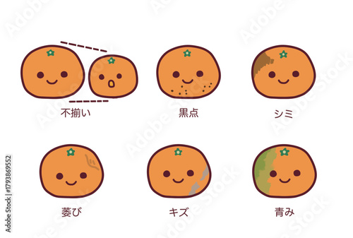 規格外のみかんの解説イラストセット