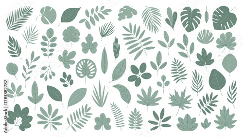 Botanical illustration featuring a diverse collection of green leaves, showcasing various shapes and textures in a natural arrangement