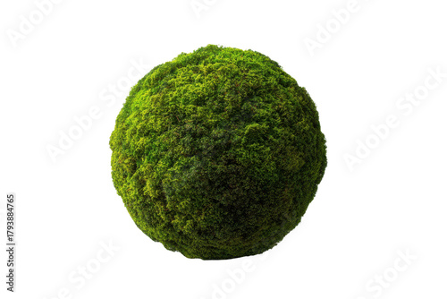Green moss sphere isolated on black background with detailed texture ball, Isolated On Transparent Background, Png Cut Out