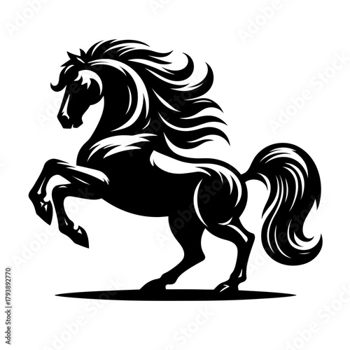 A black stallion horse full b...