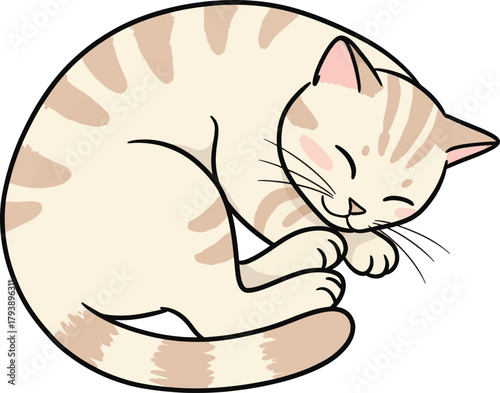 Cute cartoon cat sleeping peacefully curled up in a ball, illustration of a relaxed feline companion