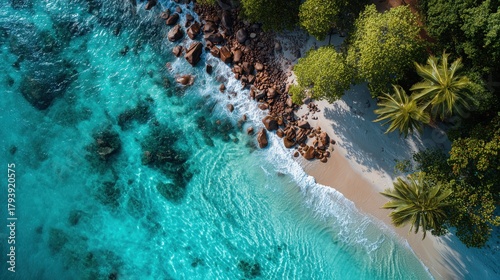 Fototapeta Naklejka Na Ścianę i Meble -  Top-down aerial drone view of a stunning tropical beach. Crystal-clear turquoise water laps against a white sand shore with large granite boulders and lush green palm trees. Paradise island concept