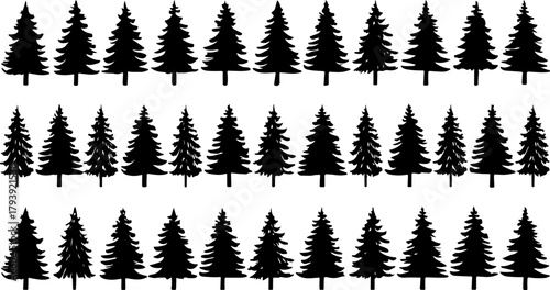 Tree Silhouettes Pine