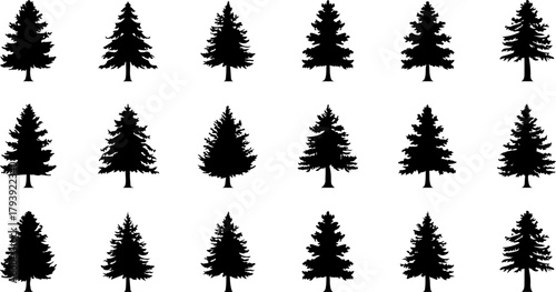 Tree Silhouettes Pine