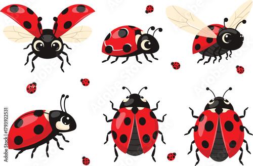 Cartoon ladybug illustration, cute insect drawing, red beetle vector, flying ladybug art, crawling bug design, playful children insect clipart