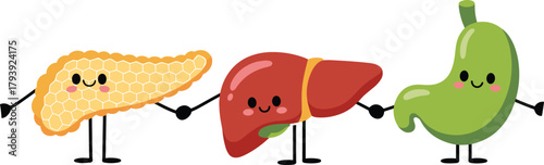 Cartoon pancreas, cartoon liver, cartoon stomach, human organs illustration, digestive system characters, medical education art, cute anatomy drawing, healthcare