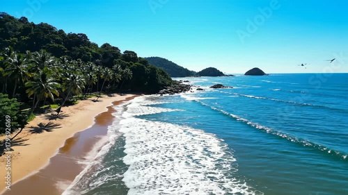 Aerial View of Tropical Beach With Birds Flying Over Ocean Waves