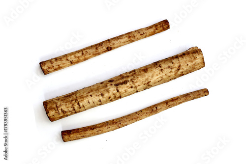 Fresh burdock roots or gobo roots