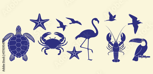 Collection of blue illustrations of marine life, including a turtle, crab, and starfish