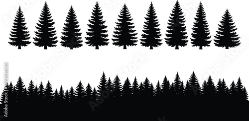 Silhouette Trees Evergreen Forest Vector Design