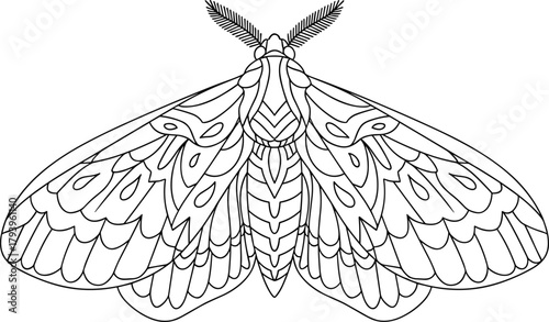 PrintDetailed moth illustration for coloring book, intricate insect line art design, black and white symmetrical butterfly drawing, vector nature artworkDetailed moth illustration for coloring book