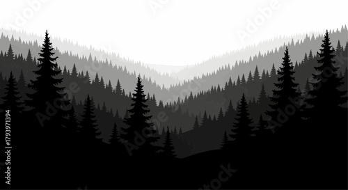Title: Vector Silhouette Border of Pine Tree Line with Snowdrifts