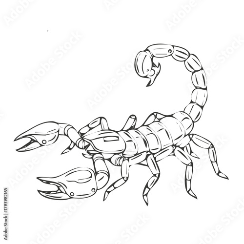 Detailed Monochrome Vector Illustration of a Stylized Scorpion