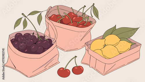 Illustration of fresh summer fruits in bags cherries lemons plums organic food healthy eating still life art