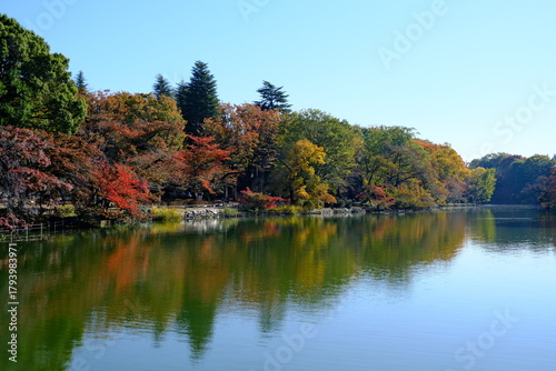 Wallpaper Mural 공원 호수 Torontodigital.ca