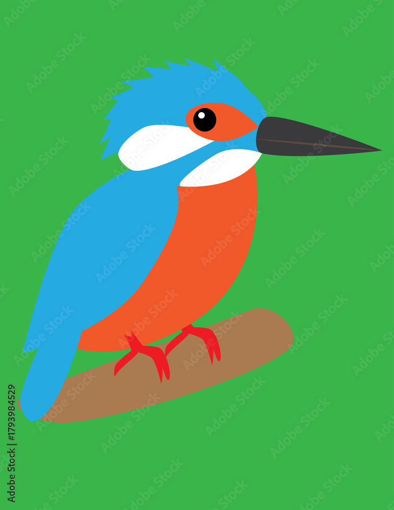 Obraz premium A vector art of a kingfisher bird.